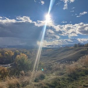 Meet your Posher, Pauline